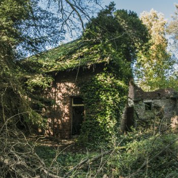 Abandoned Forest House 8